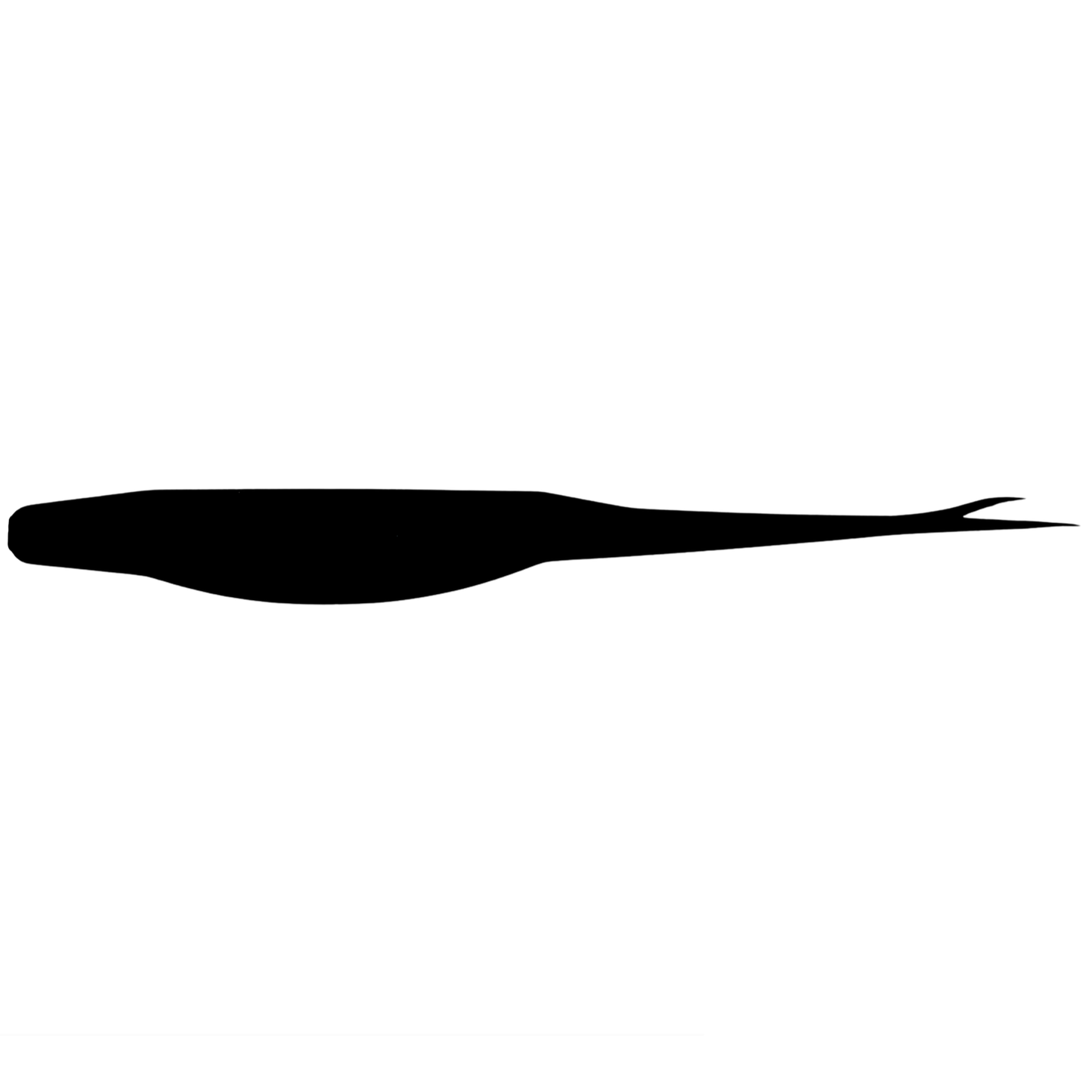 5" Mystery Dart Minnow