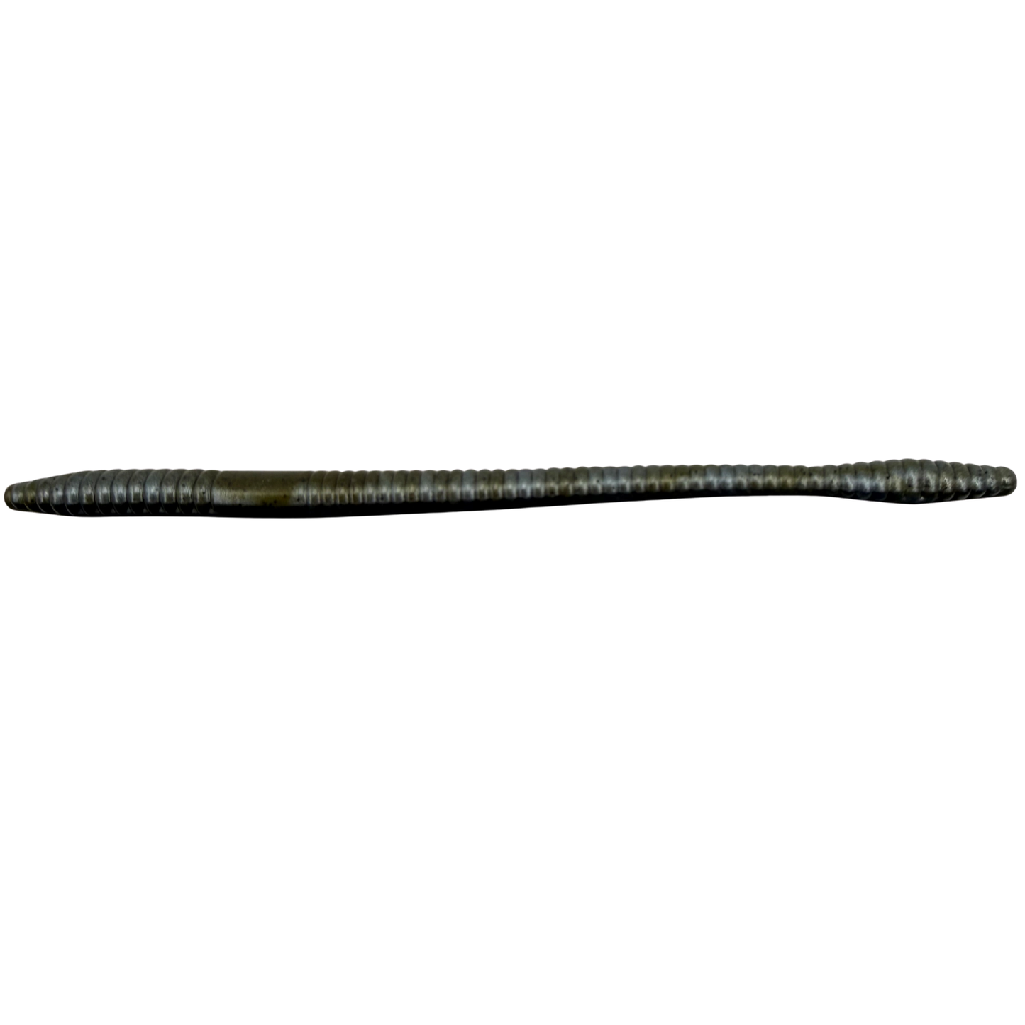 7.25" Flat Worms