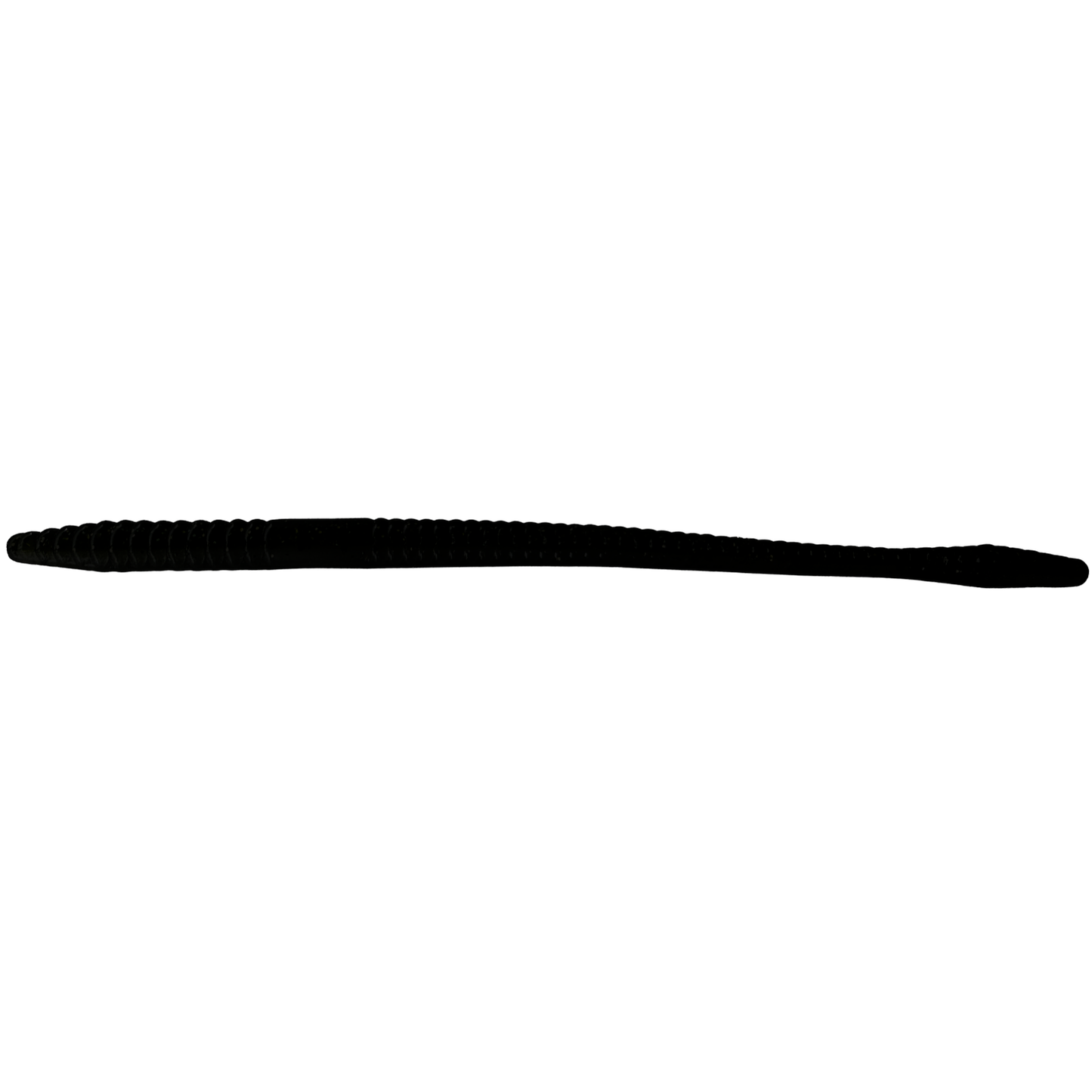7.25" Mystery Flat Worms